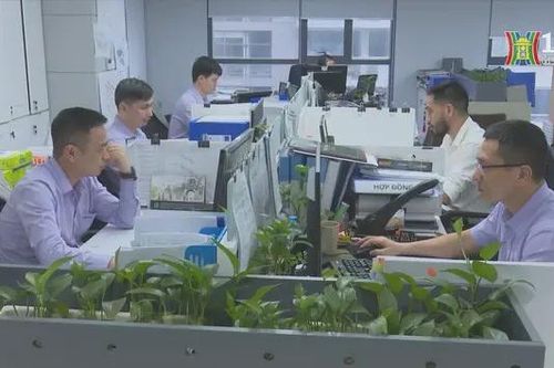 Văn phòng cho thuê trước xu hướng xanh hóa
