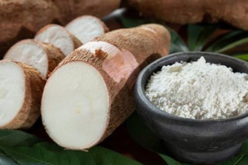 Củ khoai mì có tác dụng gì?