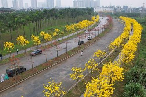 Hà Nội: Thành phố của những mùa hoa