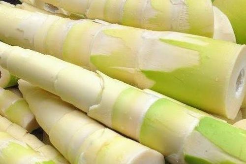 Cách dùng măng tre làm thuốc