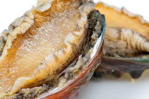 Bào ngư chữa bệnh gì?