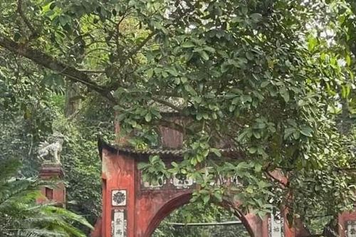 Hàng vạn người hành hương về Đất Tổ ngày cuối tuần