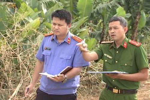 Có hay không hành vi đồng phạm?