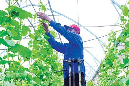 Việt Nam cần nâng cao trình độ khoa học công nghệ trong nông nghiệp