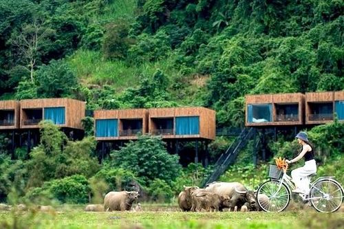 Trí tuệ nhân tạo đang thay đổi ngành du lịch Việt