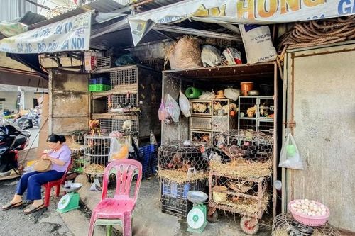 Ai sẽ giải oan cho thịt gà?