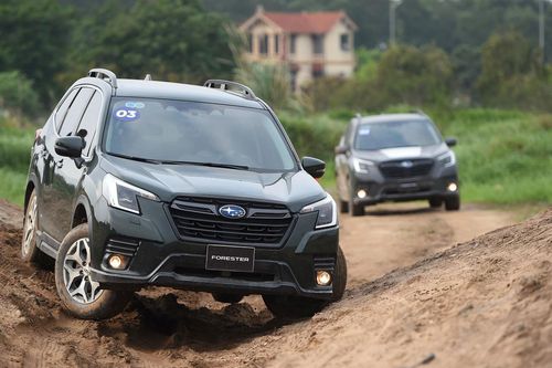 Trải nghiệm khả năng off-road ấn tượng của Subaru Forester