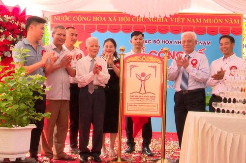 Vườn hoa nhài ở Trảng Bom đón nhận danh hiệu Cây di sản Việt Nam