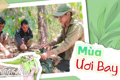 E-magazine Mùa ươi bay