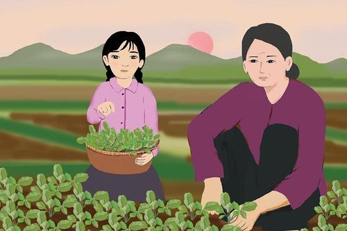 Ngọt mát rau dền