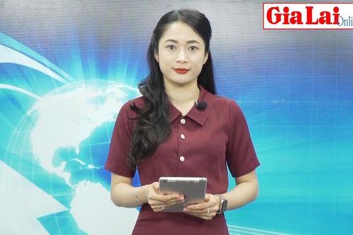 Gia Lai 24h: Chuyển công tác Giám đốc Chi nhánh Văn phòng Đăng ký đất đai huyện Đak Đoa