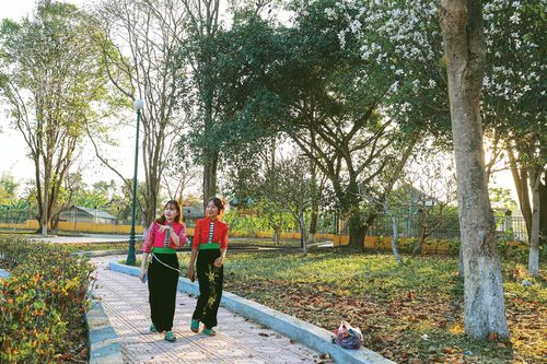 Tây Bắc mùa hoa ban