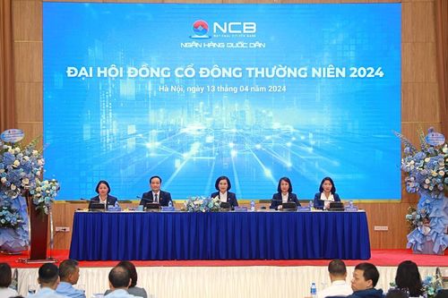Chủ tịch Ngân hàng Quốc dân (NVB): Tình trạng lỗ chưa thể sớm giải quyết 'ngày một ngày hai'
