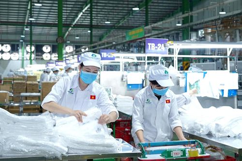 Cổ phiếu rơi vào diện cảnh báo, An Phát Holdings nói gì?