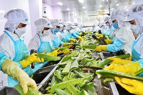 Hội đồng quản trị G.C Food thay đổi nhân sự