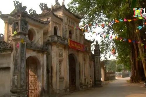 Dấu ấn lịch sử của 5 cây di sản Việt Nam