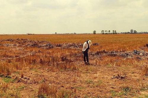 Đồng bằng sông Cửu Long: Tiến trình 'sống chung' với xâm nhập mặn