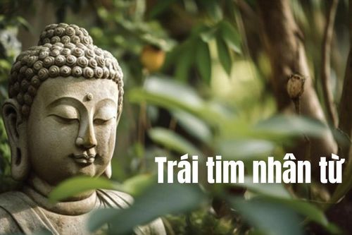 Trái tim nhân từ
