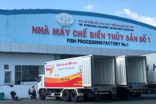 Lợi nhuận của IDI giảm gần 17% sau kiểm toán