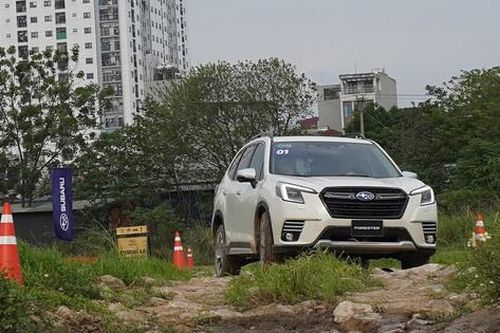 Ô tô gầm cao tiếp tục là lựa chọn yêu thích của người tiêu dùng Việt Nam