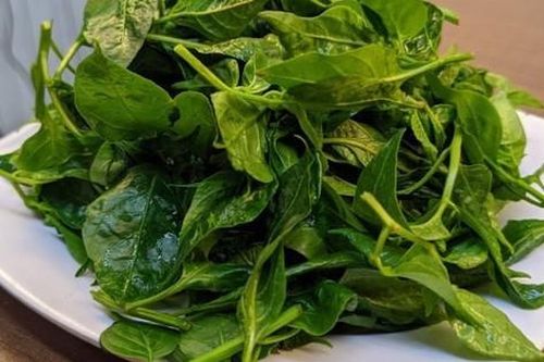 Loại lá tưởng vô tác dụng lại thành rau đặc sản tới 60.000 đồng/kg, chữa đủ bệnh, chế biến đủ món ngon