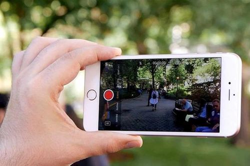 Quay clip ăn thịt chim đăng lên MXH có vi phạm pháp luật không?