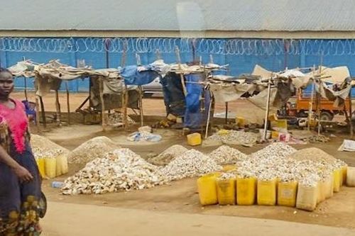 'Thiên đường' Juba: từ khách sạn 5 sao đến những túp lều…