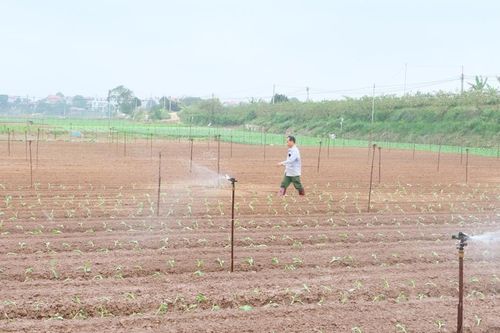 Nguy cơ hạn hán, thiếu hụt nguồn nước tại Hà Nội