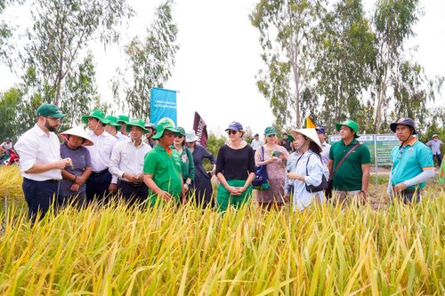 Việt Nam và Australia hợp tác trước tác động của khủng hoảng khí hậu