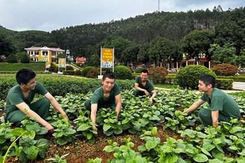 Giúp chiến sĩ mới là đảng viên khẳng định mình