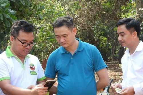 Chuyện làm nông nghiệp thông minh của Hoàng
