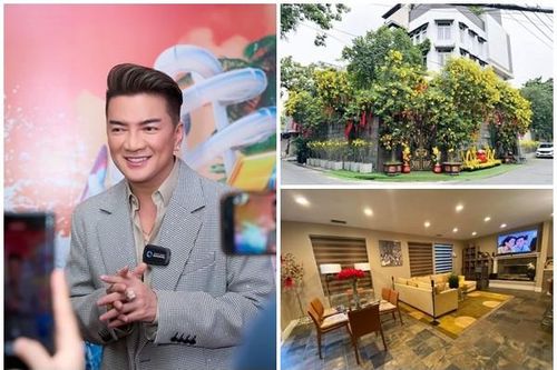 Cận cảnh 3 cơ ngơi tiền tỷ của Đàm Vĩnh Hưng
