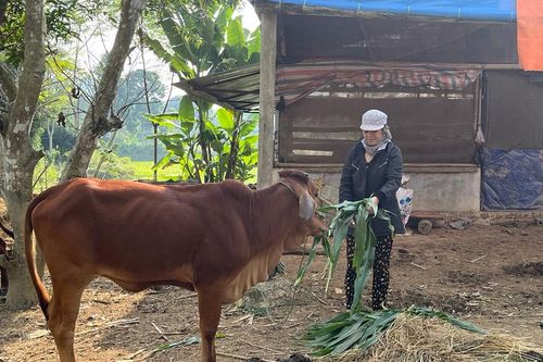 Trao 'cần câu' sinh kế giúp đồng bào huyện Định Hóa thoát nghèo