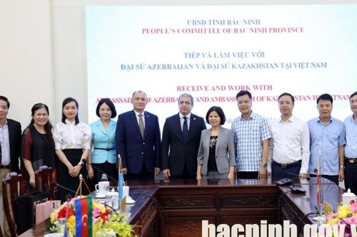 Nghề làm tranh dân gian Đông Hồ của Bắc Ninh cần được bảo vệ khẩn cấp