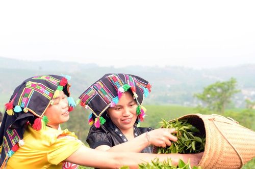 Sơn nữ Lai Châu khoe tài trong Lễ Hội Trà