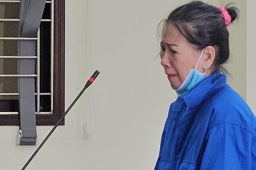 Người phụ nữ 60 tuổi bị phạt 12 năm tù vì hoạt động nhằm lật đổ chính quyền