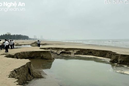 Thị xã Cửa Lò phát hiện trường hợp khai thác cát biển trái phép