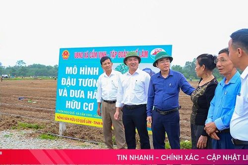 Doanh nghiệp Quế Lâm mở rộng các mô hình theo hướng hữu cơ ở Hà Tĩnh