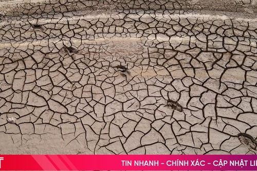Hà Tĩnh phòng ngừa từ sớm, từ xa hạn hán, thiếu nước, xâm nhập mặn