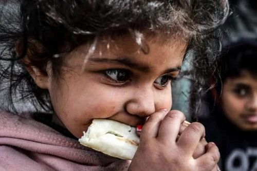 WFP hỗ trợ mở cửa trở lại 3 cửa hiệu bánh mỳ ở phía Bắc Gaza