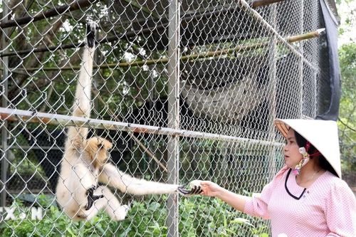 Kiên Giang: Nhiều động vật hoang dã được cứu hộ, chăm sóc, thả về tự nhiên