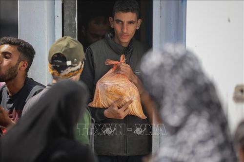 Những cửa hiệu bánh mì đầu tiên mở cửa trở lại ở phía Bắc Gaza