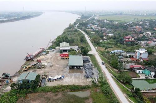 Thái Bình: Tăng cường kiểm tra, xử lý vi phạm đê điều sau bài viết đăng trên báo Tin tức