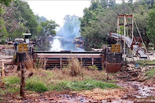 Cà Mau: Công bố tình huống khẩn cấp về hạn hán ở huyện Trần Văn Thời và U Minh