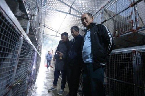 Anh nông dân thu hàng tỷ đồng nhờ nuôi con đặc sản thích ăn 'đầu gà'