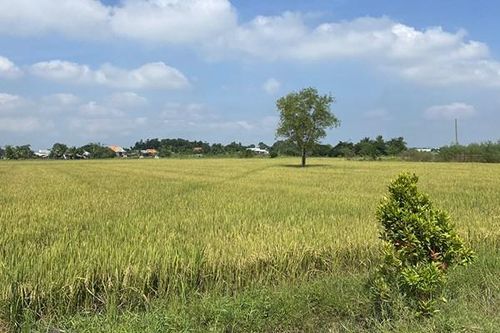 'Tắc' chủ trương đầu tư, 2 dự án truyền tải chưa thể triển khai