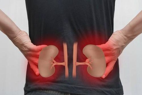 Phân biệt đau thận và đau lưng bằng cách nào?
