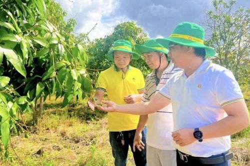 PVCFC đồng hành cùng thịnh vượng phát triển tại Campuchia
