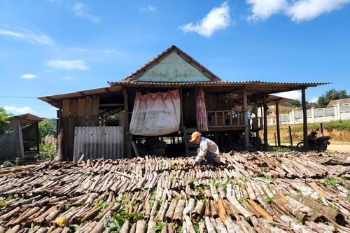Tháo gỡ khó khăn cho hoạt động xuất khẩu dược liệu