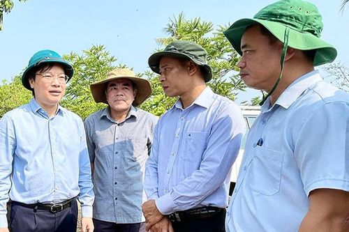 Chủ tịch UBND tỉnh Trương Hải Long: Khẩn trương triển khai giải pháp khắc phục tình trạng sạt lở